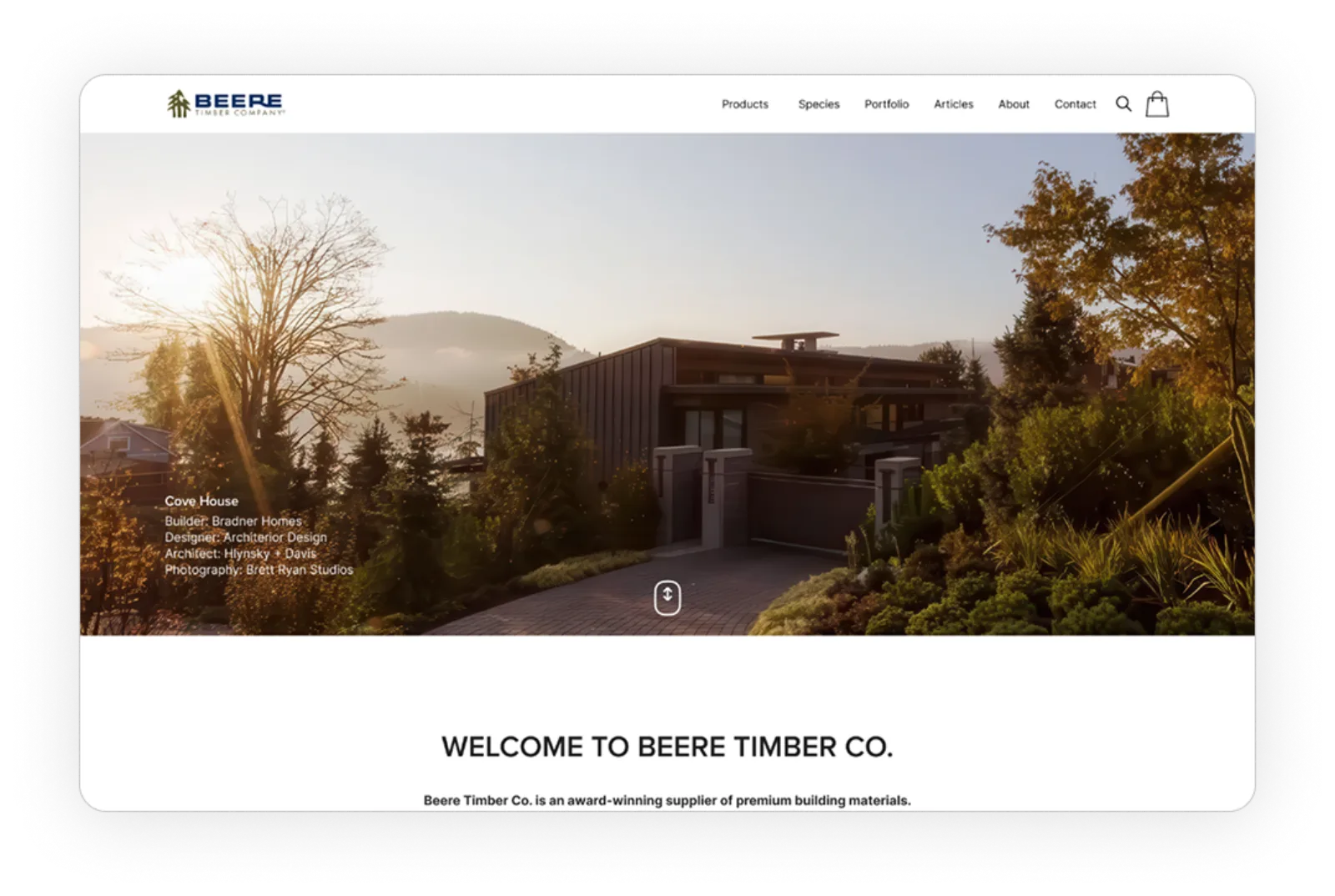 Beere Timber portfolio preview