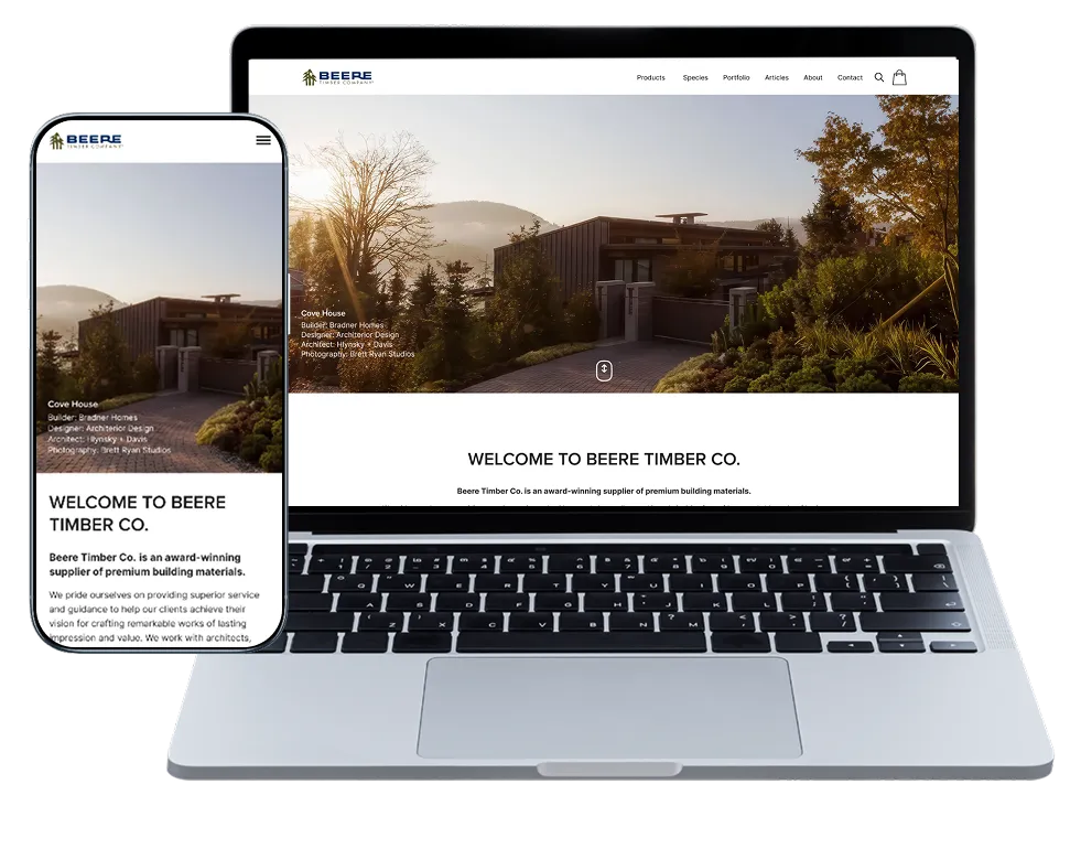 Website preview on laptop and phone