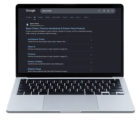 Google search results for SEO